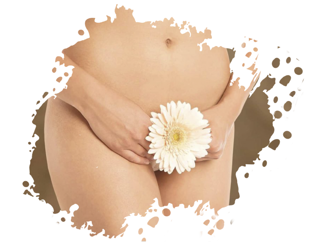 https://www.medicapro.com.tn/wp-content/uploads/2022/05/Nymphoplastie.png